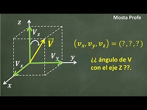 How to Calculate the Components of a Vector and its Angle with the Z Axis Solved Exercise