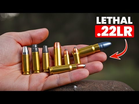 The 9 Shocking .22 LR Loads That Hit Way Harder in 2026!