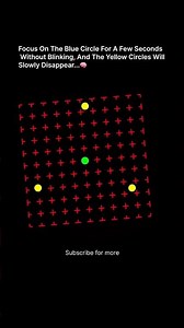 This Simple Visual Illusion Reveals How Your Brain Filters Reality