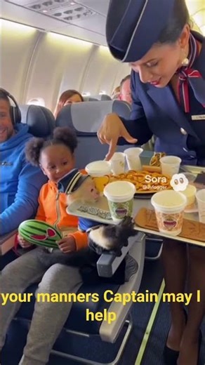 Monkeys on plane | Ai video #ai #aiplane #aimonkey