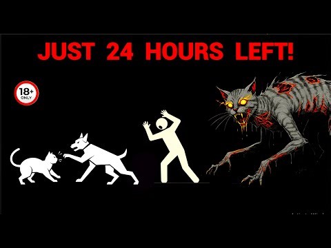 If Your Dog Starts Attacking Cats… You have 24 hours Left - Analog Horror