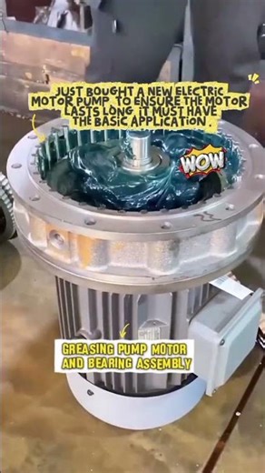 Greasing electric motor pump while assembling the bearing.🛠️⚙️🔩💪