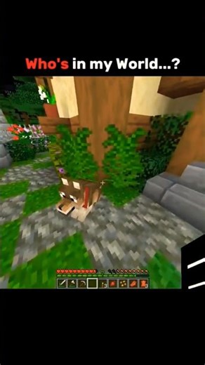 MINECRAFT😘💓#minecraft #shortsviral #shortsvideos #shorts ❤️