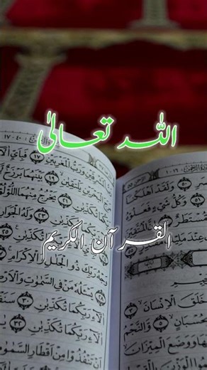 Quran ❤️ Recitation In Urdu Translation #quran #quranrecitation #qurantilawat