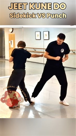 Jeet Kune Do Sidekick VS Punch