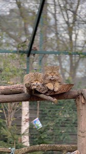 151K views · 10K reactions | Wiemy, jak to działa... Im częściej...