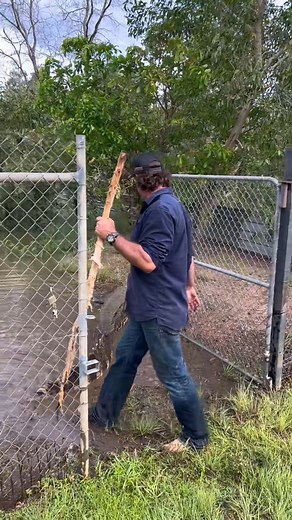 The gatekeeper 🐊 | Wild Movies