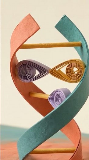 How DNA Stores Life’s Instructions? #dna #Genetics #biology #ScienceExplained