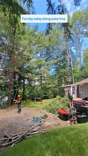 8K views · 680 reactions | Fun day today doing some tree removal with...