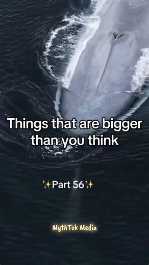 Things that are bigger than you think 😳 | Part 56 #nostalgiacore #biggerthanyouthink #shocking #scary #viral