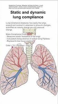 Static and dynamic lung compliance