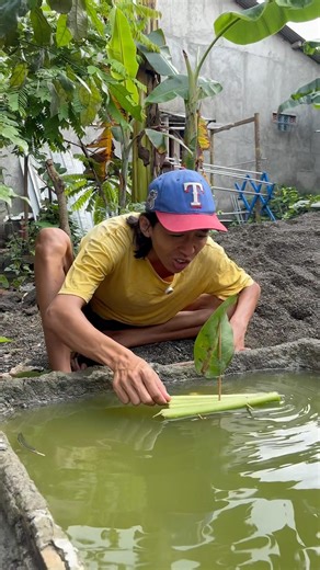 Playing ship is fun!