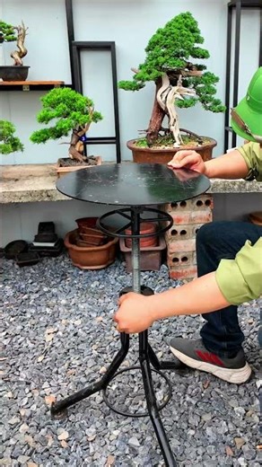 Bàn xoay chân cao làm bonsai #bonsaishop
