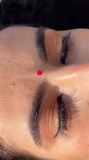 Python Free Certification Course // #100daysofcode #webdevelopment #python #job #coding_circle01