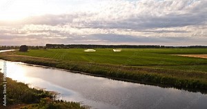 Agricultural irrigation system on industrial corn maize farm field