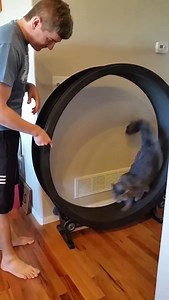 10K views · 245 reactions | Run, kitty! RUN! | Cat Vines | Facebook