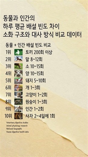 인간은 동물 중에서 화장실을 자주 가는 편일까? 동물 + 인간 배설 빈도 비교