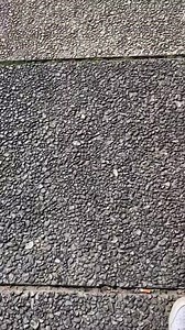 12 reactions |  @greenvalleyband ya está en #uruguay  Miércoles 31...