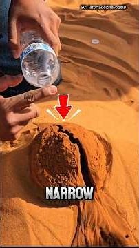 This Process Created One of Earth’s Greatest Landscapes #grandcanyon #shortvideo #shorts