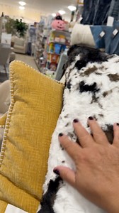 Let’s go to Home Goods #HomeGoods #Patio #Pillow #fallyall | Little Cajun House