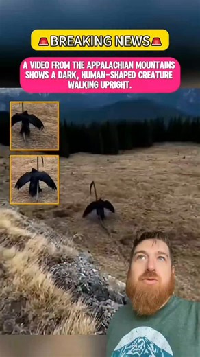 Everything Scary on Instagram: "Strange footage of a bird man captured at the Appalachian mountains #reels #scary #viral #horror #viralreels"