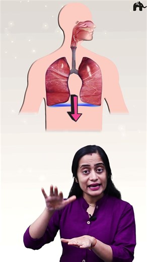 Inhalation| Breathing and exchange of gases Class 11 Bio with Roshni Mam #concepthogacrystalclear