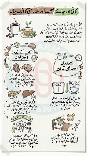 Tea vs Coffee | Health Benefits You Need to Know