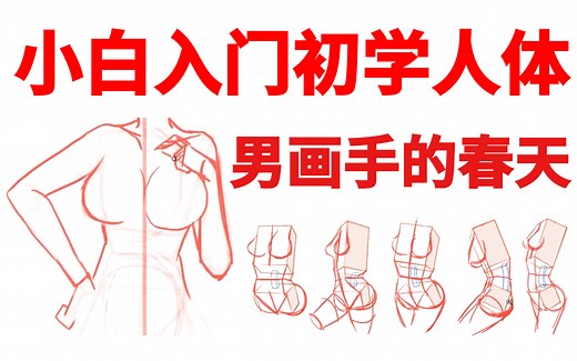 小白入门人体教程，真有那么难？UP主耗尽18年法力一一击破了人体的雷区。