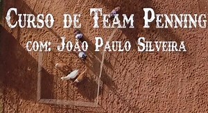 Curso de Team Penning, com João Paulo Caixeta - Life Horse | Hotmart