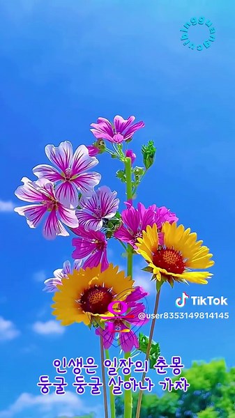노랫가락 차차차 #추천 #옛노래 #민요 #각설이