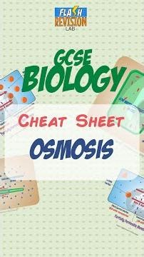 GCSE Biology: Cheat Sheet | Osmosis