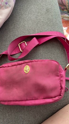 Nylon Bag Cleaning Hack with Oven Wipes