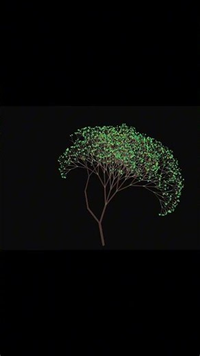 Drawing a Realistic Tree in Python | Creative Coding Project