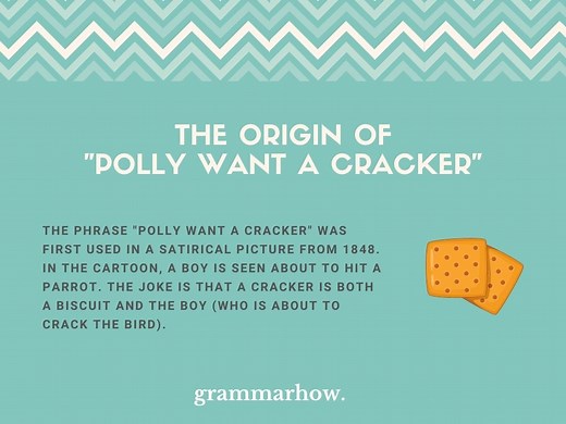 Why Does "Polly Want A Cracker"? True Origin Revealed