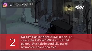 I migliori film con animali protagonisti