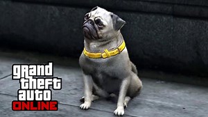 GTA 5 Online Pug location: Where to find it for Wildlife Photography?