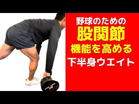 【下半身ウエイト】股関節機能を高めるウエイトトレーニングの方法とコツ。