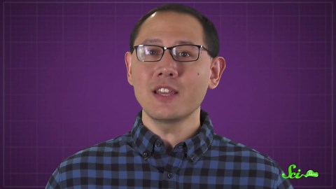 Firehawks: Nature's arsonists