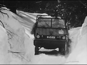 Einführung "Haflinger" 1959, Schweizer Armee (Kalter Krieg) / Swiss Army (Cold War)