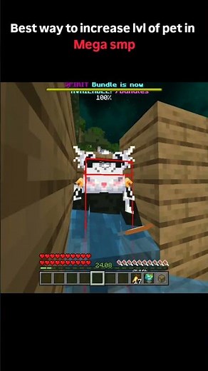 How To Max Level ANY Pet Fast on Mega SMP! 🚀 #viral
