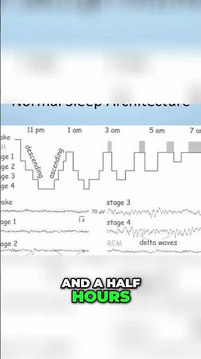 #10 Unlock Perfect Sleep - The Science of Sleep Cycles