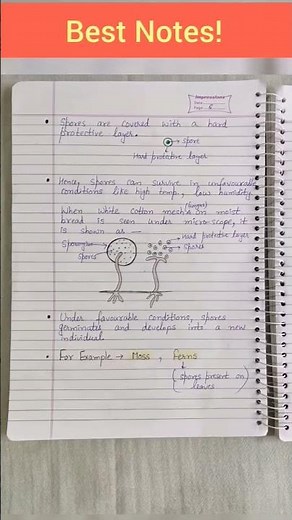 NCERT Class 7 science chapter 8 reproduction in plants Notes 📋