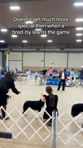 35K views · 740 reactions | I started as a toddler with an eager...