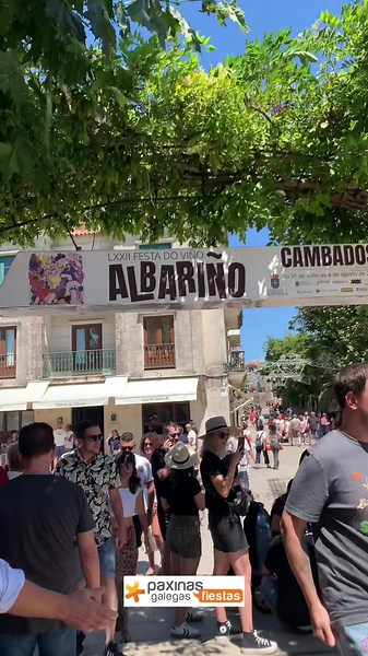Fiesta del Albariño en Cambados: Celebrando Tradiciones