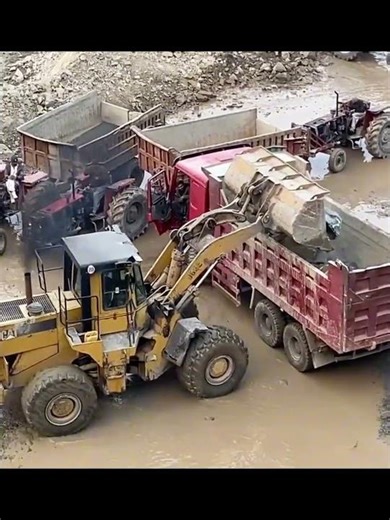 Heavy Duty Loader! #constructionequipment #loader #construction #heavyequipment #constructionsite