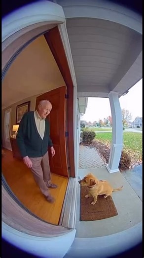 James Williams | Damn grandpa got blown away 😂😂🤷🏾💯 The AI dog trend is wild when you really think about it — we’re out here creating digital pets that... | Instagram