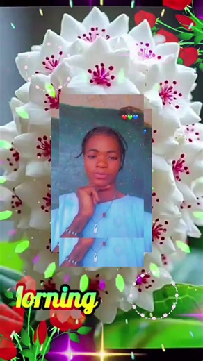 Vidéos de rombasarata (@rombasarata) avec son original - rombasarata