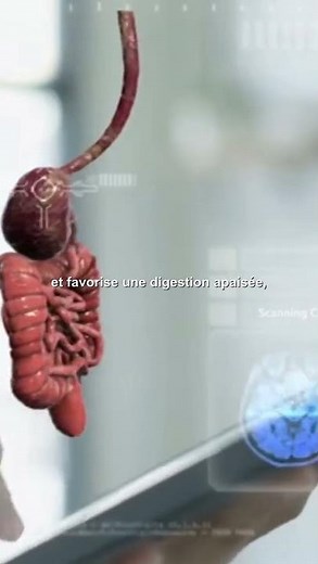 les secrets de la cannelle pour les plus de 60 ans #cannelle