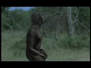 Walking with Beasts Se1 - Ep04 Next of Kin - Part 11