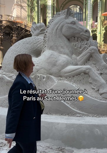 J’ai ramené des souvenirs dans le savoir 😂 #sauthermes #hermes #paris #cheval #equitation